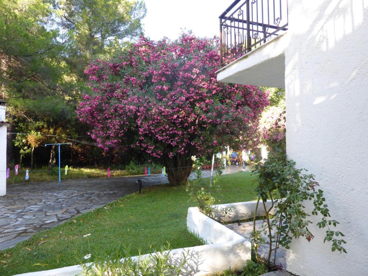 Amalia Apartments Koukounaries Buitenkant foto